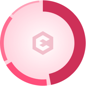 Efforce graphic token funds usage
